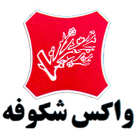 vaxShokofehlogo copy608cd8a72502271950